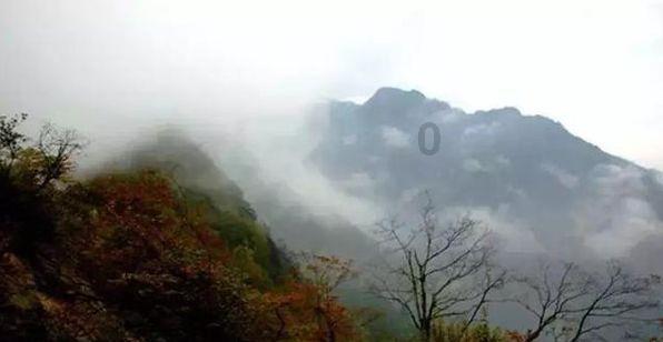 蓝狐视频